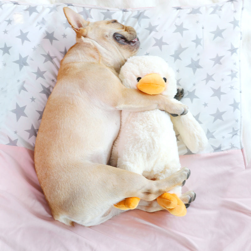 Soft  Plush Dog  Toys_ Fun&  Cuddlly  Pet Supplies