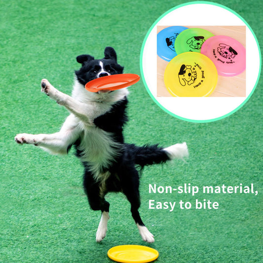 Outdoor Interactive  Dog Toy_ Durable Pet Play Supply